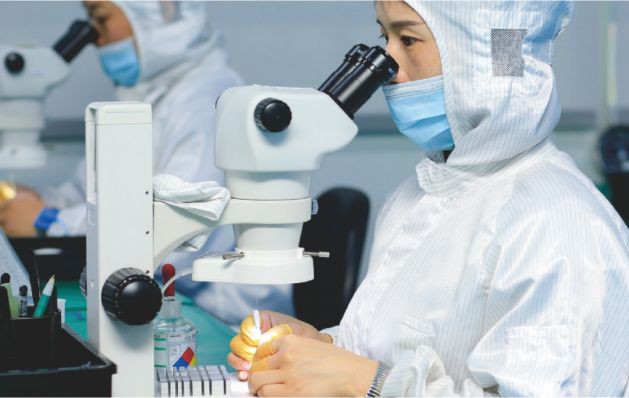 1Visual Inspection Microscopic Inspection 1Visual Inspection Microscopic Inspection